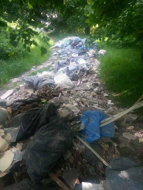 Tooting Common Flytip