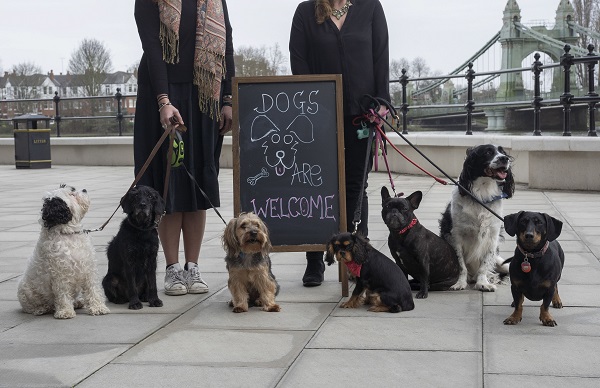 Dogs welcome at Riverside Studios' Cafe and Bar