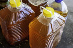 Council Bin Lorries to Be Powered By Cooking Oil