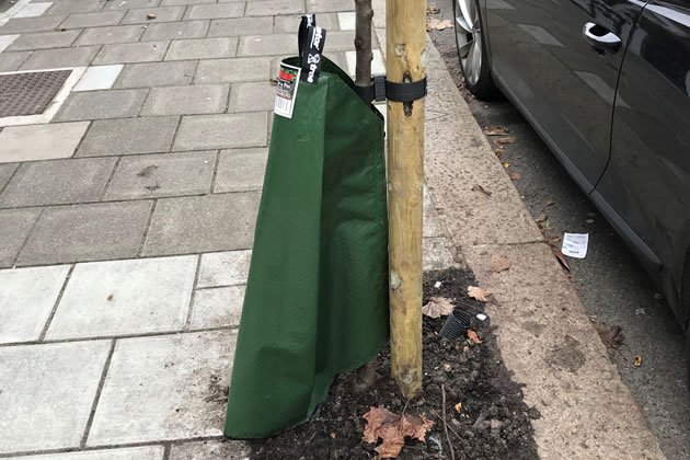 A 'gator' fitted to one of the 750 trees being planted this winter