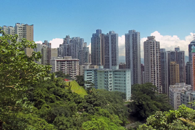 Flats in Hong Kong's Mid-Levels