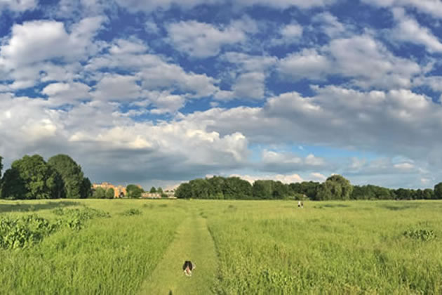 Putney Common