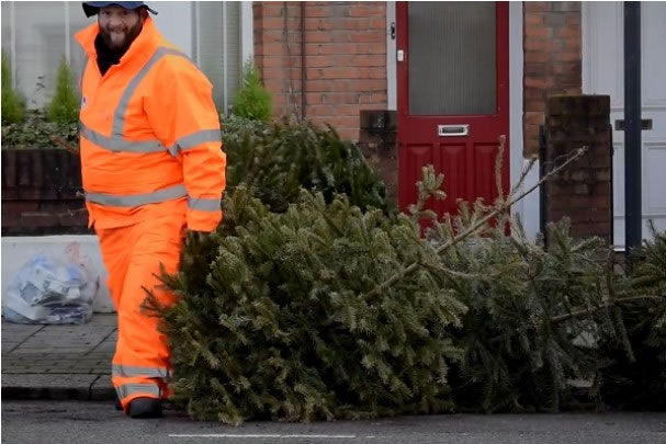 Council worker removing Christmas trees 