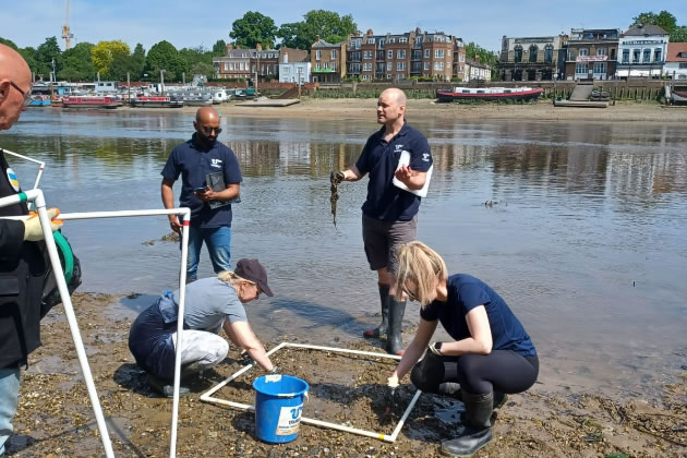 Volunteers mark out clusters of wet wipes on the foreshore 