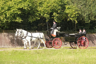 Midsummer Horse-Drawn Carriage Rides In Richmond Park