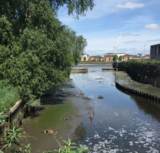 Wandle Nature Reserve