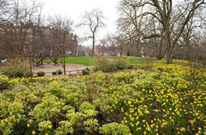 Battersea Park's Winter Garden is in bloom 