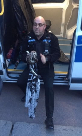 Three Foot Python Found In Battersea Park 