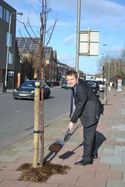 Over 600 Trees To Be Planted In Wandsworth This Winter 
