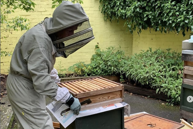Apiary manager Anne introduces a new bee colony