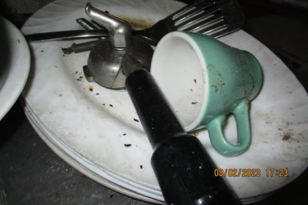 Mouse droppings found on plates and cups at the Diana Fish Bar