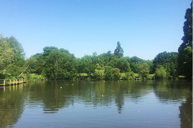 Bucolic scenes on Wandsworth Common